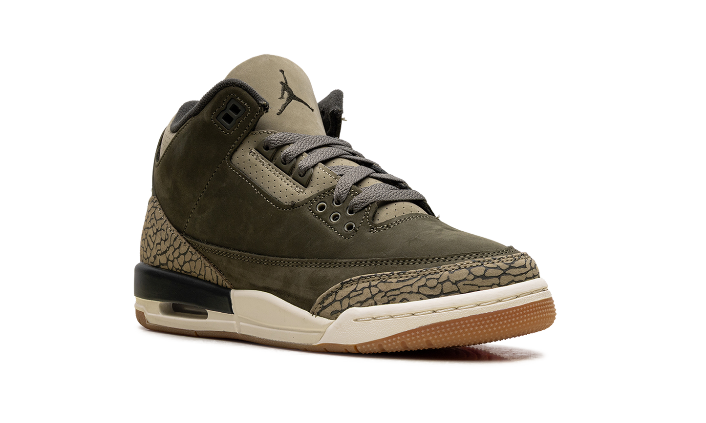 Air Jordan 3 GS Family Affair DM0967 202