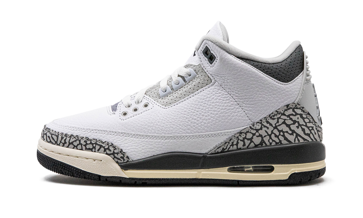 Air Jordan 3 GS Hide N Sneak DX6665 100
