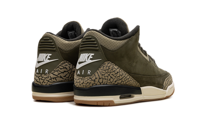 Air Jordan 3 GS Family Affair DM0967 202