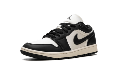 Air Jordan 1 Low WMNS Vintage Panda FB9893 101