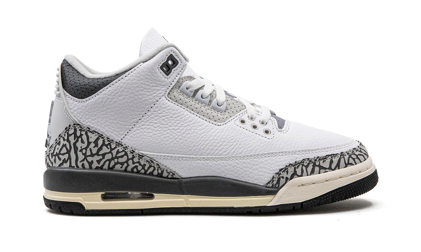 Air Jordan 3 GS Hide N Sneak DX6665 100