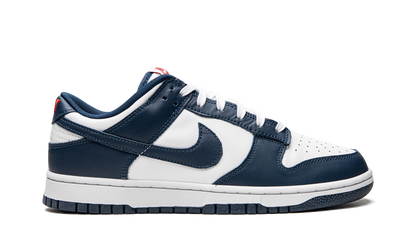 Dunk Low Retro 6F