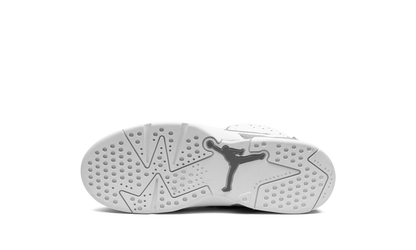 Air Jordan 6 PS Cool Grey DV3605 100