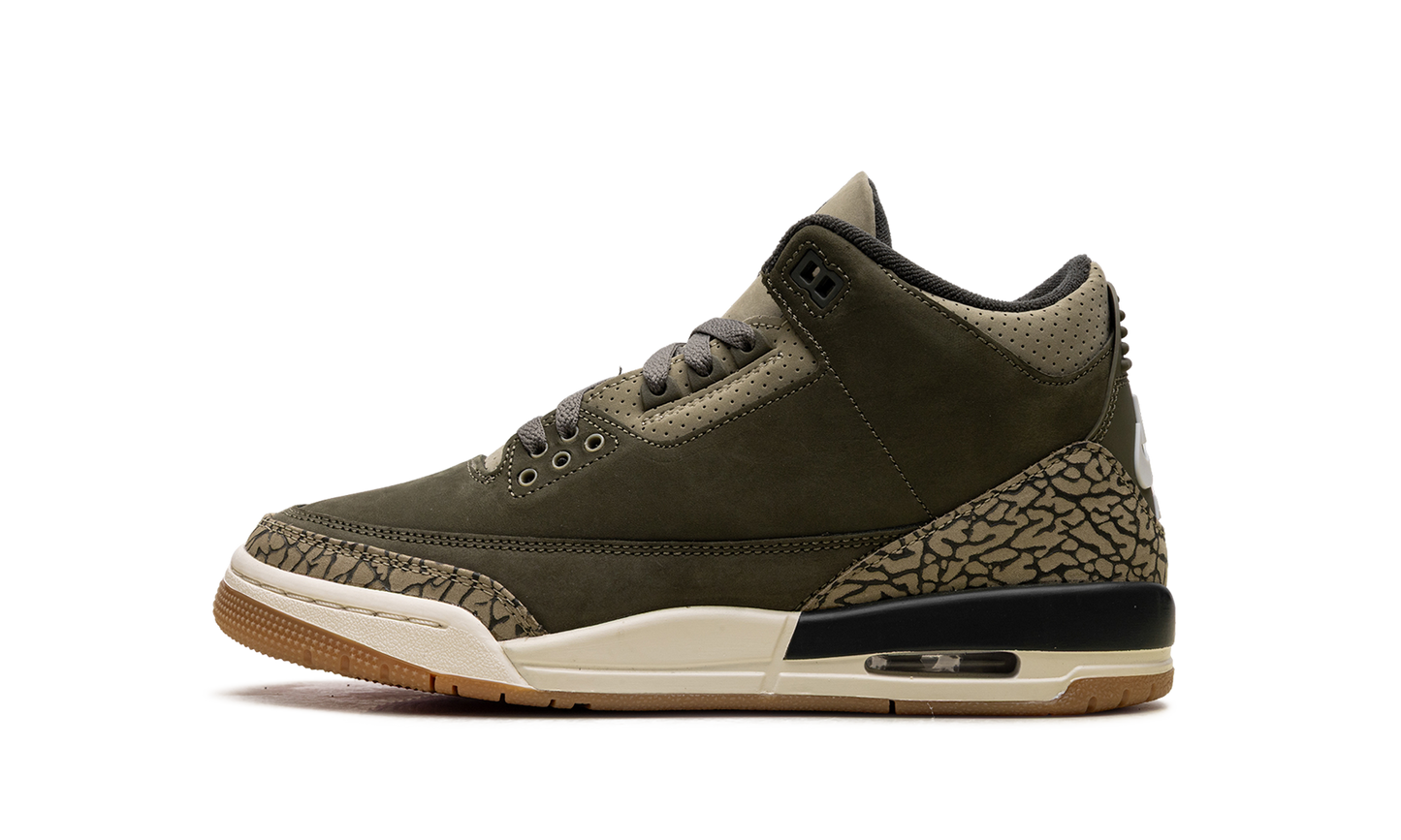 Air Jordan 3 GS Family Affair DM0967 202