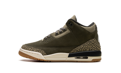 Air Jordan 3 GS Family Affair DM0967 202