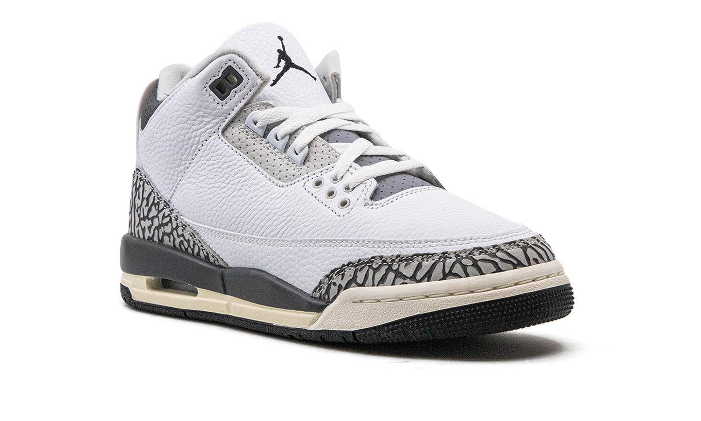 Air Jordan 3 GS Hide N Sneak DX6665 100
