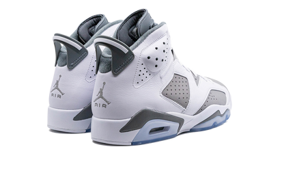 Air Jordan 6 Cool Grey CT8529 100
