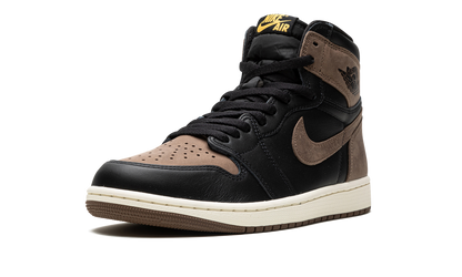 Air Jordan 1 Retro High OG Palomino DZ5485 020