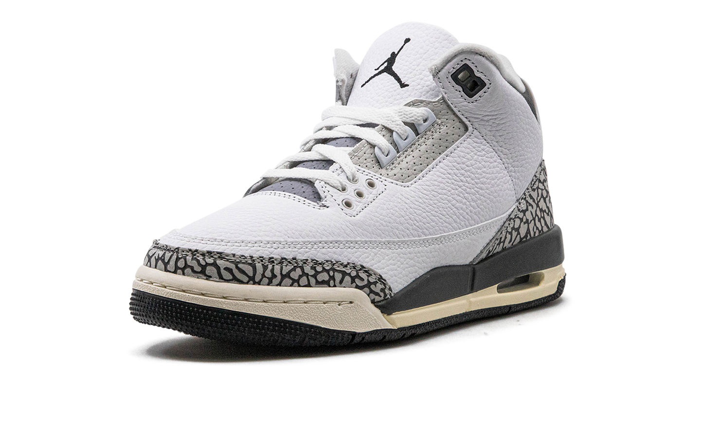 Air Jordan 3 GS Hide N Sneak DX6665 100