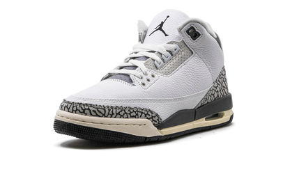 Air Jordan 3 GS Hide N Sneak DX6665 100
