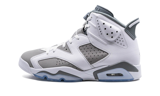 Air Jordan 6 Cool Grey CT8529 100