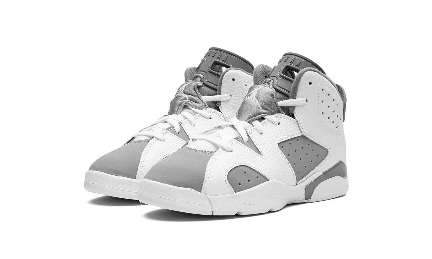 Air Jordan 6 PS Cool Grey DV3605 100