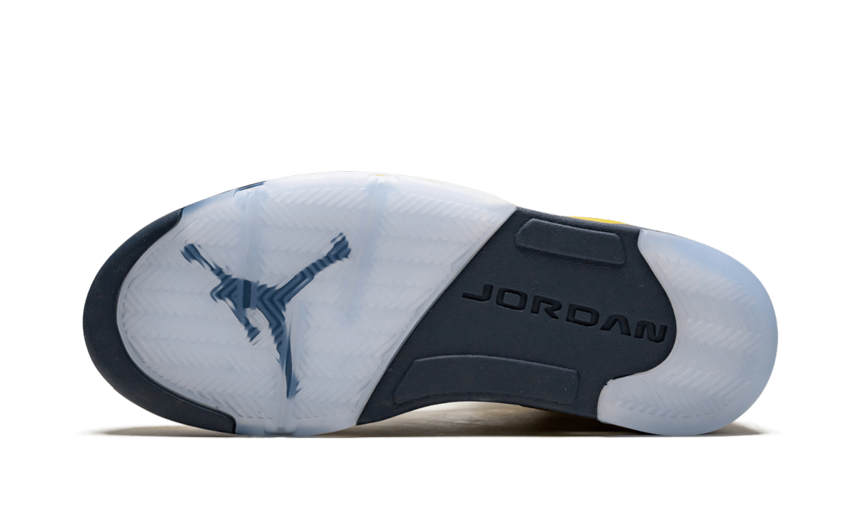 Air Jordan 5 Retro SE Michigan CQ9541 704
