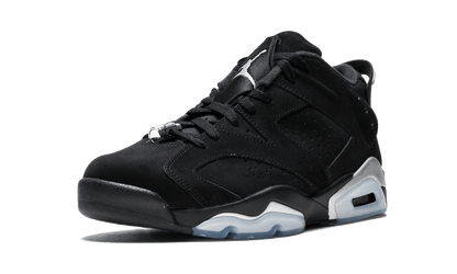Air Jordan 6 Retro Low Metallic Silver 304401 003