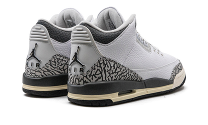 Air Jordan 3 GS Hide N Sneak DX6665 100