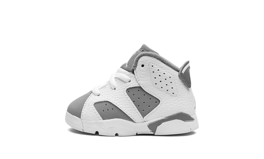 Air Jordan 6 TD Cool Grey DV3606 100
