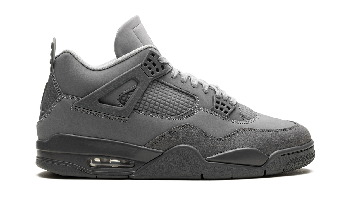 Air Jordan 4 6F