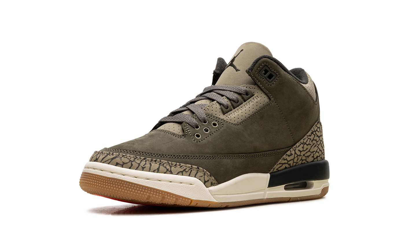 Air Jordan 3 GS Family Affair DM0967 202