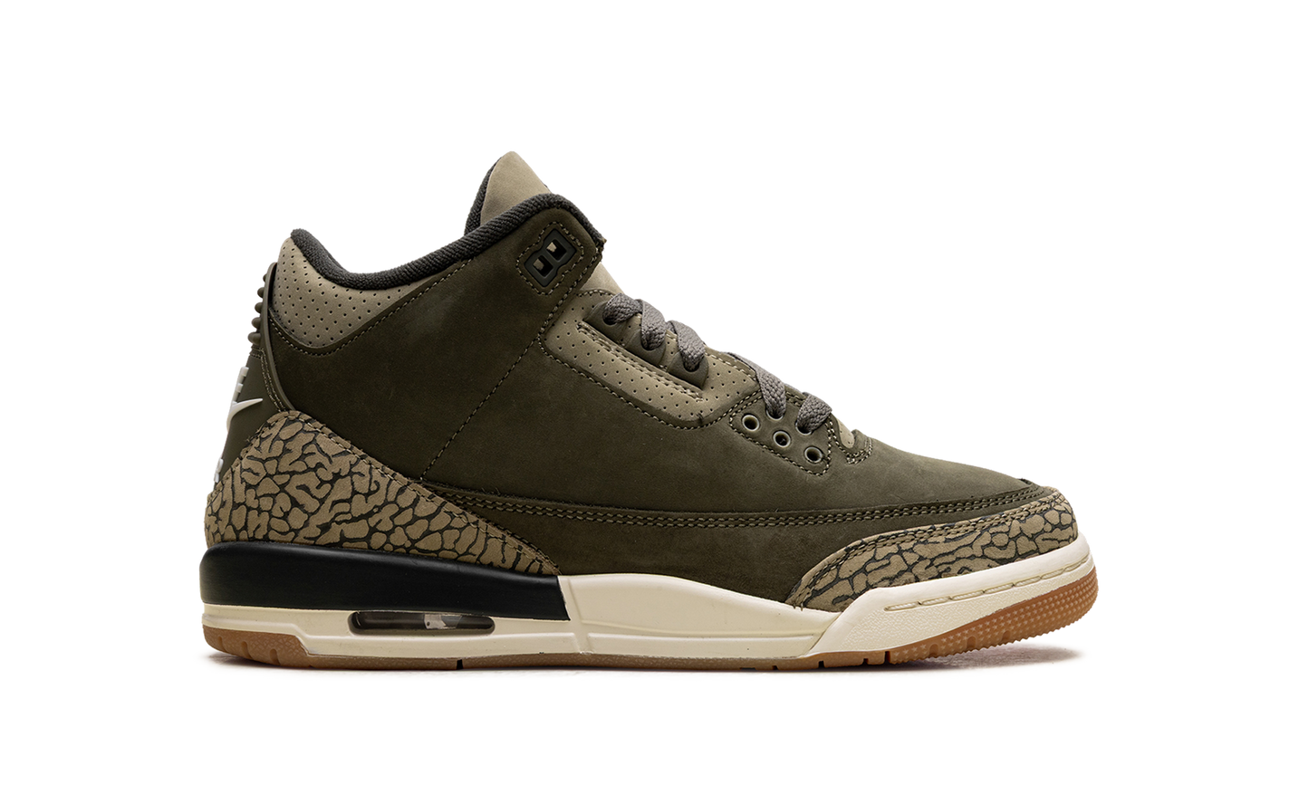 Air Jordan 3 GS Family Affair DM0967 202